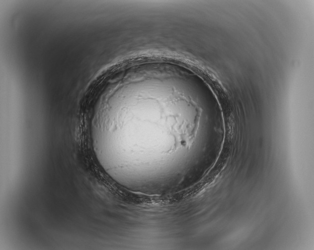 X0000115491494200911131225