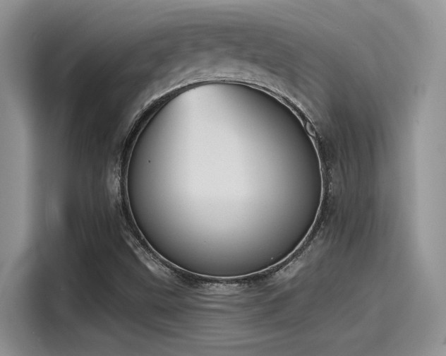 X0000115491499200911131225