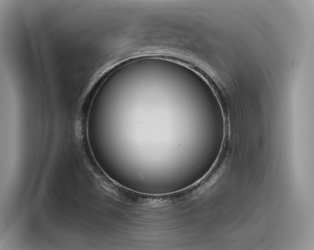 X0000115491501200911131225