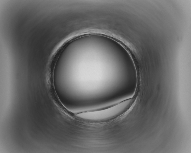 X0000115491502200911131225
