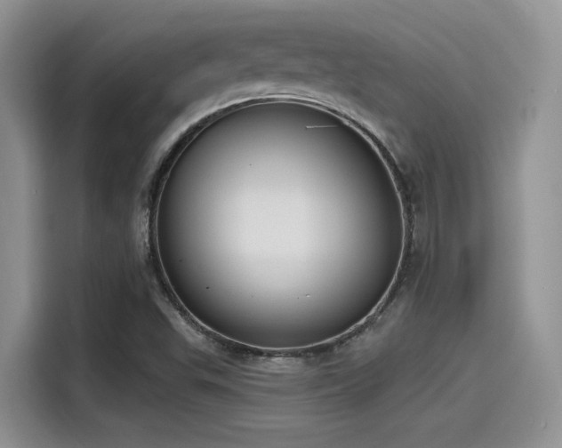 X0000115491503200911131225