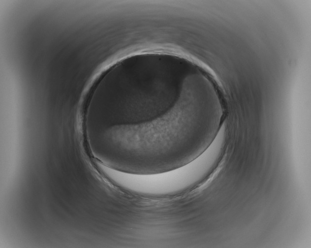 X0000115491506200911131225