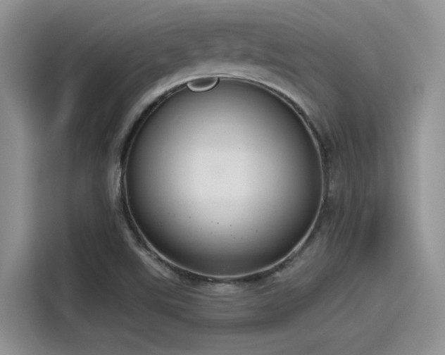 X0000115491507200911131225