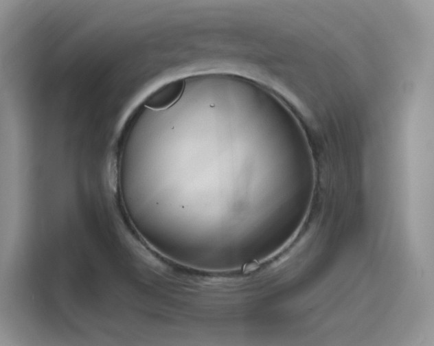 X0000115491510200911131225