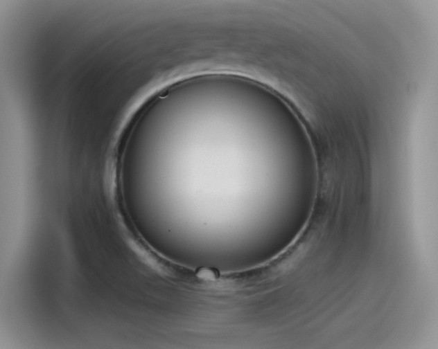 X0000115491511200911131225