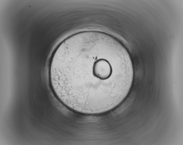 X0000115491514200911131225
