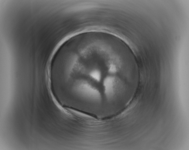 X0000115491515200911131225