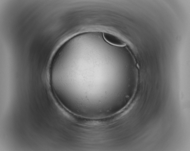 X0000115491517200911131225