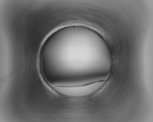 X0000115491518200911131225
