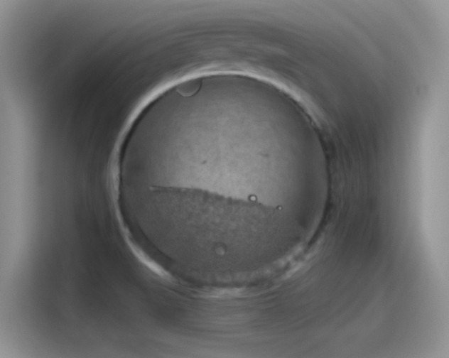 X0000115491519200911131225