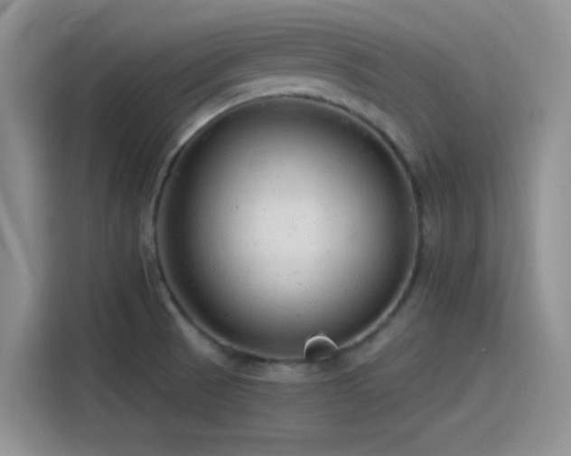 X0000115491521200911131225