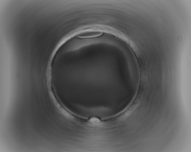 X0000115491522200911131225