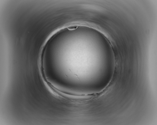 X0000115491523200911131225