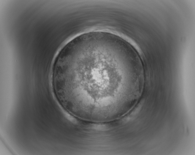 X0000115491525200911131225