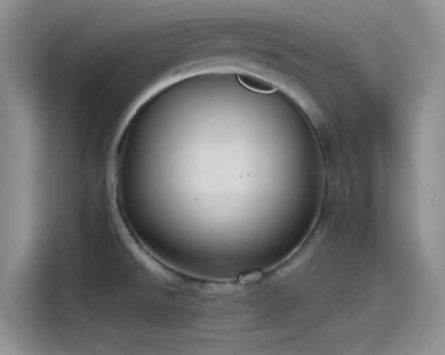 X0000115491526200911131225