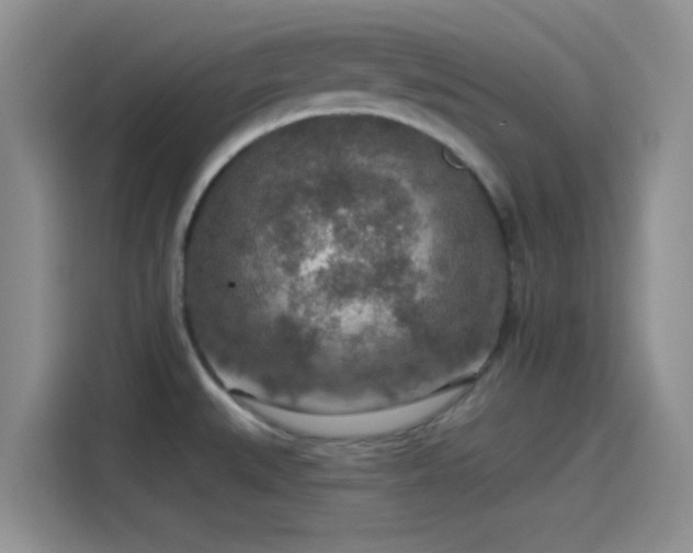 X0000115491527200911131225