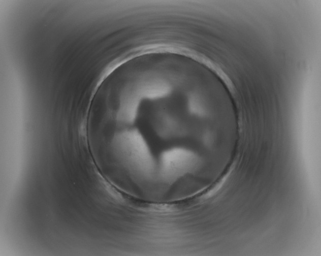 X0000115491529200911131225