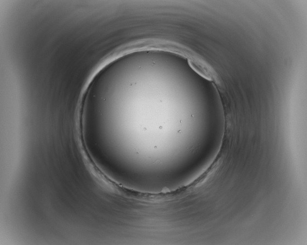 X0000115491530200911131225