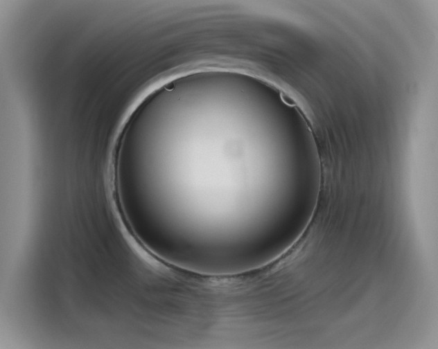 X0000115491531200911131225