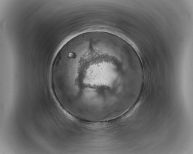 X0000115491533200911131225