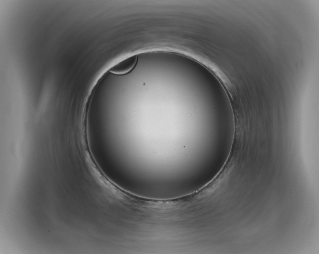 X0000115491534200911131225