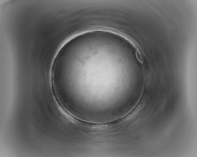 X0000115491535200911131225