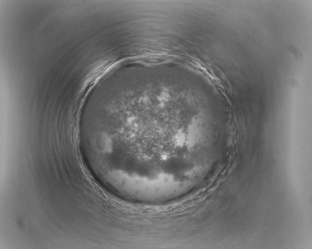 X0000115490002200911201607