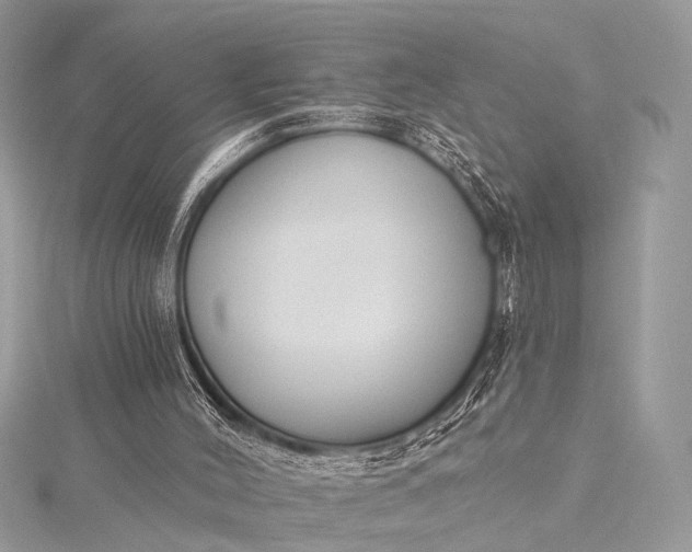 X0000115490004200911201607