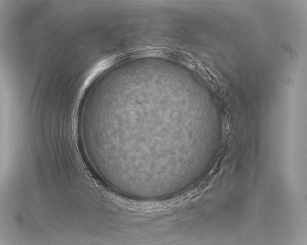 X0000115490006200911201607