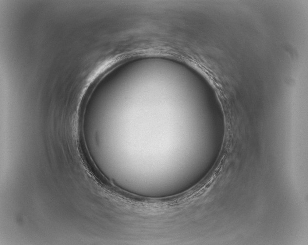 X0000115490008200911201607