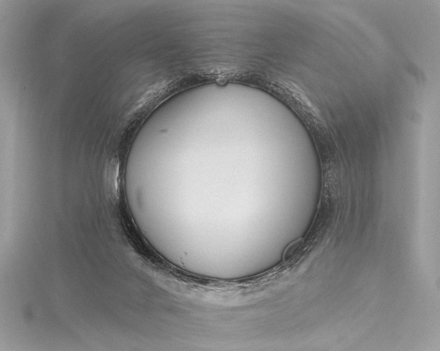 X0000115490024200911201607