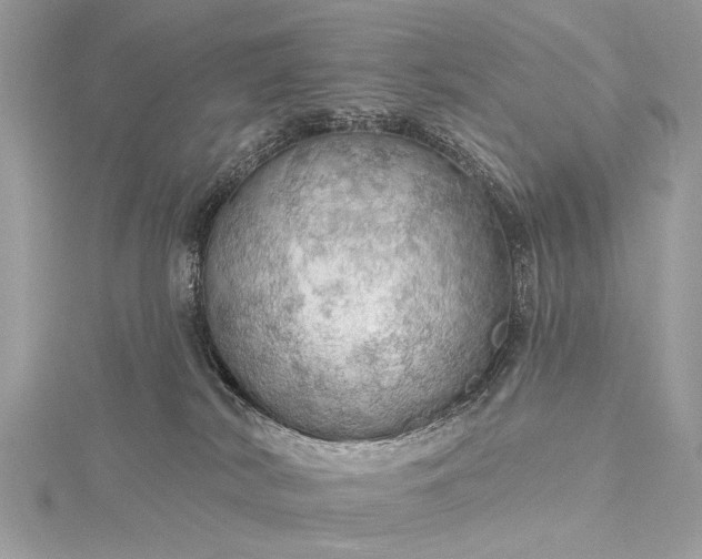 X0000115490038200911201606