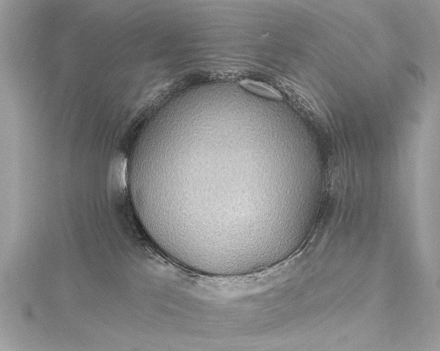 X0000115490041200911201606