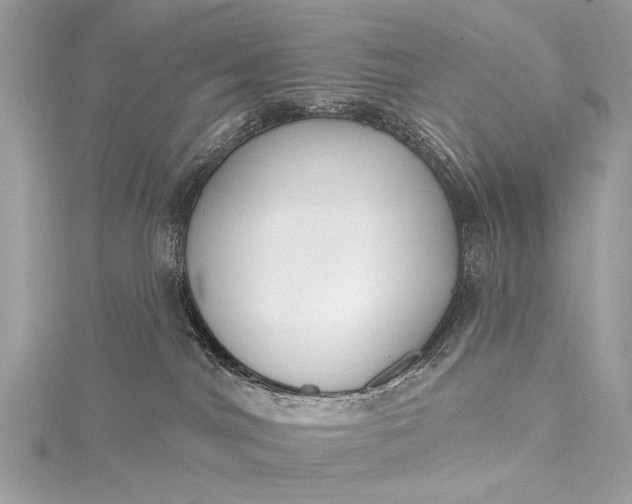 X0000115490044200911201606