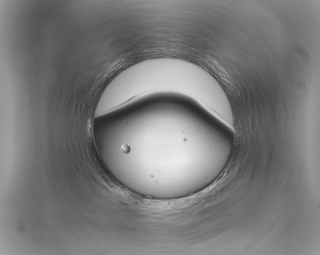 X0000115490045200911201606