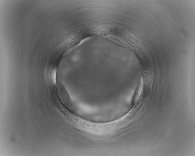X0000115490047200911201606
