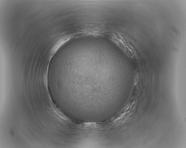 X0000115490052200911201606