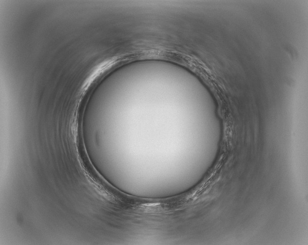 X0000115490054200911201606