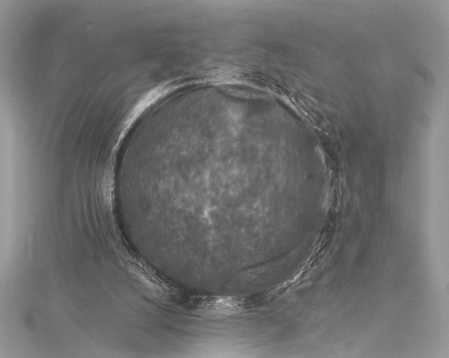 X0000115490056200911201606