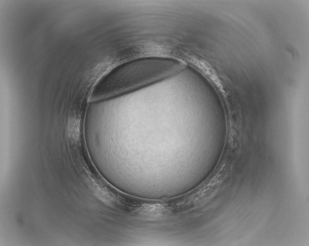 X0000115490057200911201606