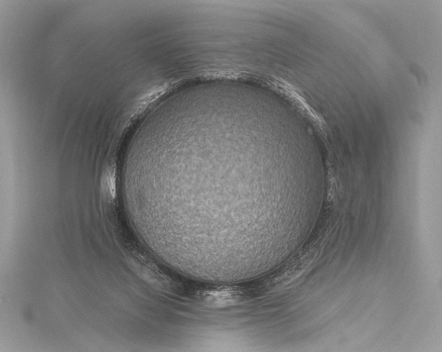 X0000115490068200911201606