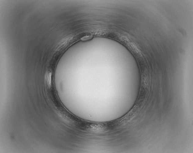 X0000115490070200911201606