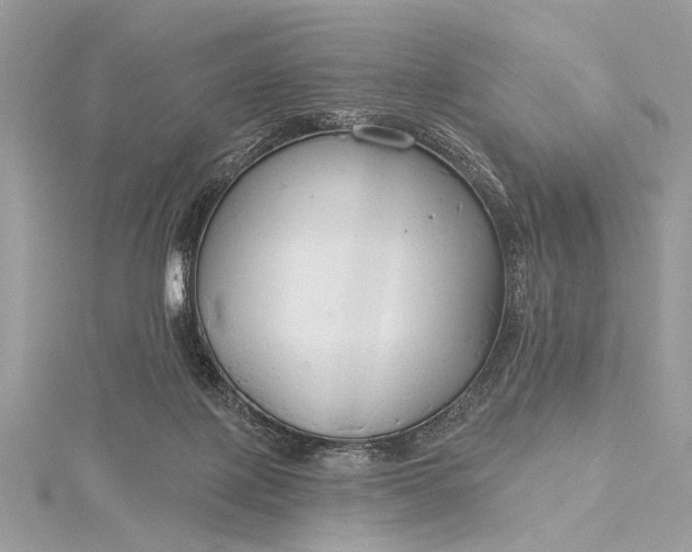 X0000115490075200911201606