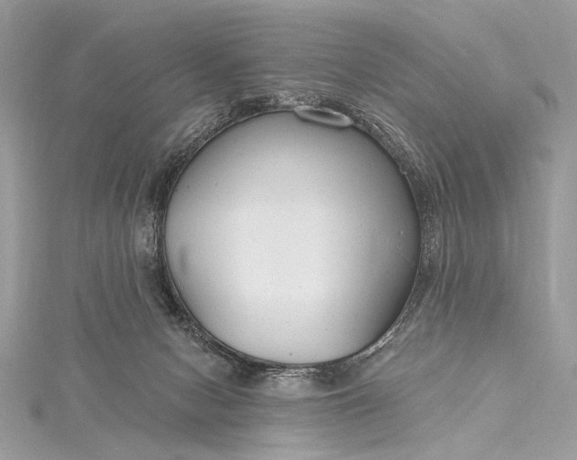 X0000115490078200911201606