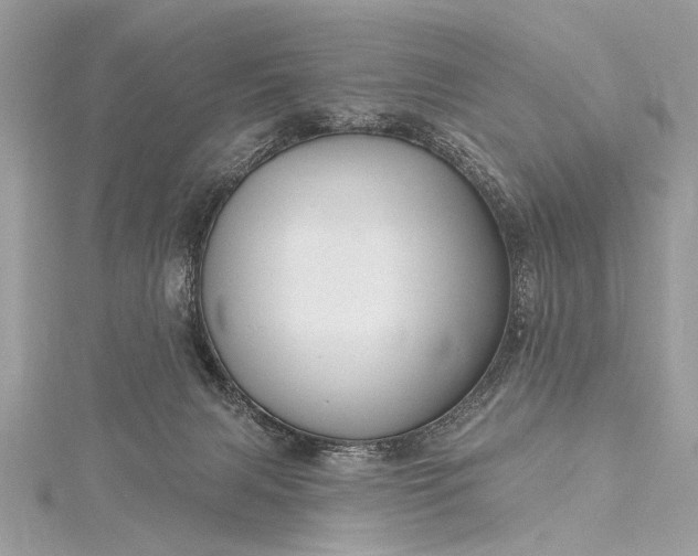 X0000115490079200911201606