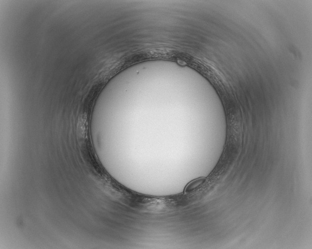 X0000115490083200911201606