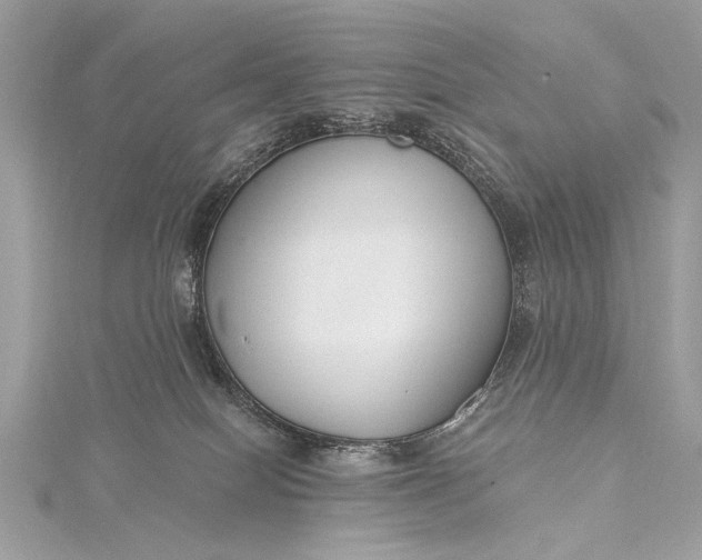 X0000115490086200911201606