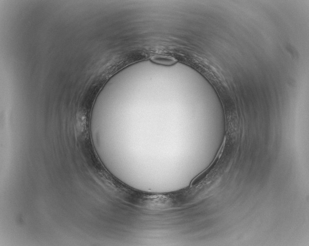 X0000115490087200911201606