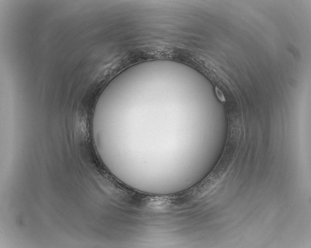 X0000115490088200911201606