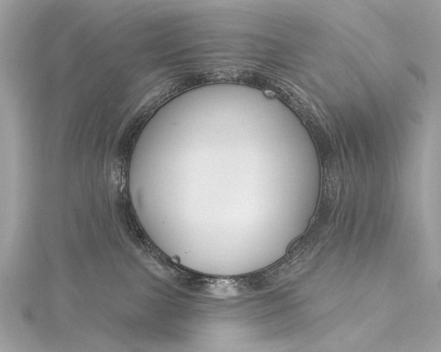 X0000115490091200911201606